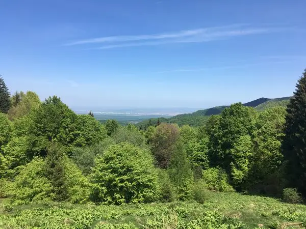 Ciupari - Curmătura Măgurii - Ciupari
