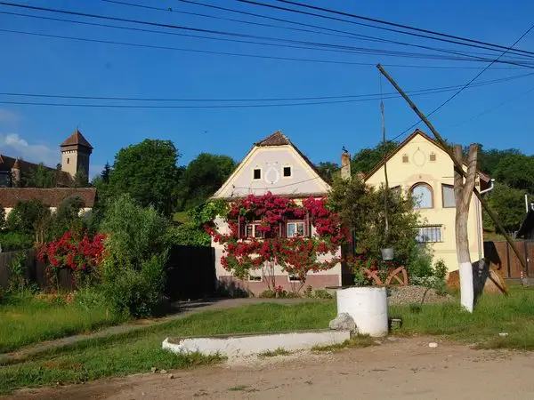 Nou Săsesc - Dealul lui Fetea - Copşa Mare - Nou Săsesc