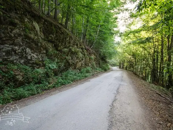 Remeți - Stâna de Vale pe Valea Iadului