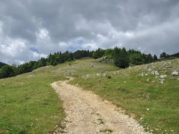 Cabana Curmătura - La Table - Şirnea - DN73