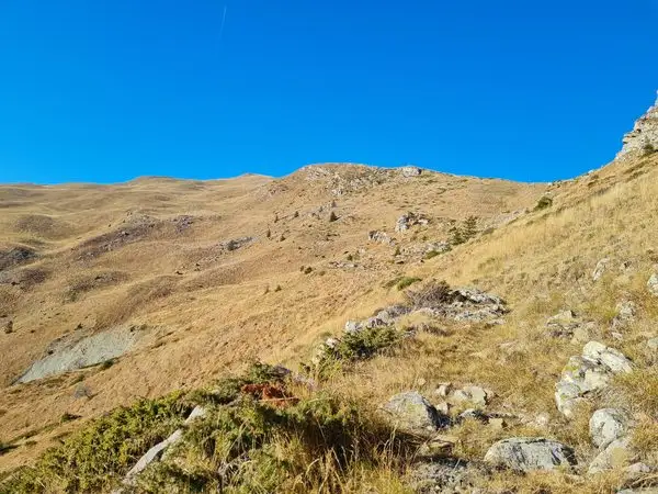 Poiana Bobu – Vârful Grohotiș