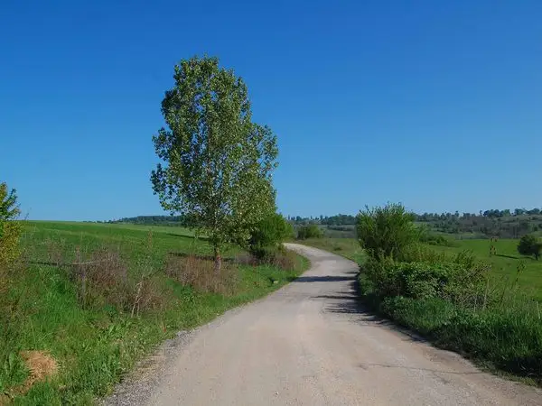 Comăna de Jos -  Dăişoara - Ticuşu Vechi - Comăna de Jos