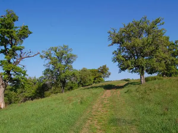 Comăna de Jos -  Dăişoara - Ticuşu Vechi - Comăna de Jos