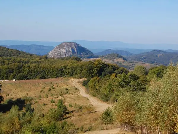 Pasul Bucium - Vârful Petriceaua - Pasul Buceş-Vulcan