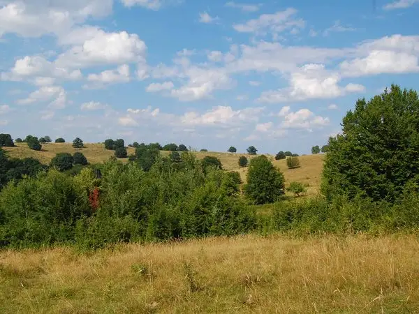 Agnita - Valea Lacul Sec - Agnita