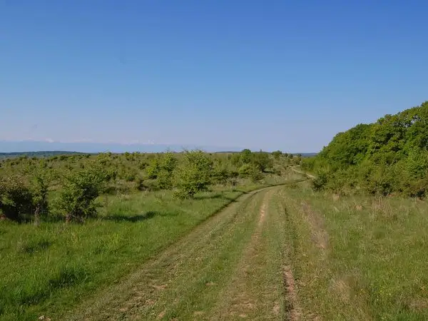 Comăna de Jos -  Dăişoara - Ticuşu Vechi - Comăna de Jos