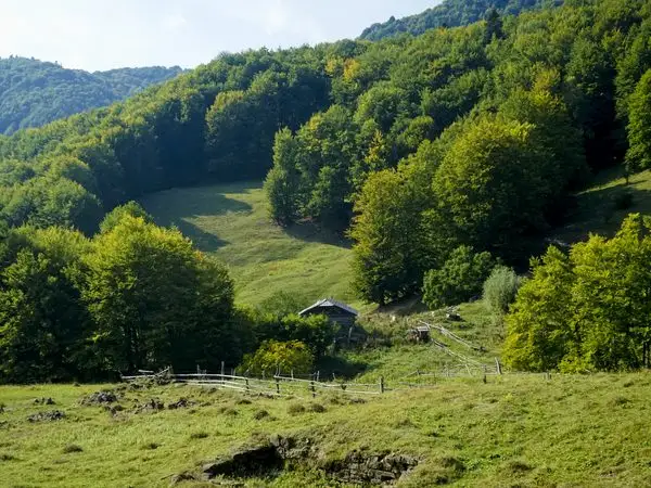 DN10 - Între Caşoci - Valea Bâsca Mare