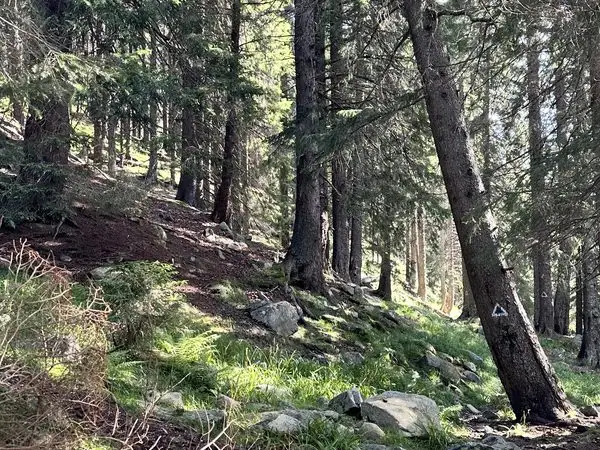 Stâna de Râu – Tăul Țapului – Vf. Păpușa – Șaua Custurii – Stâna de Râu