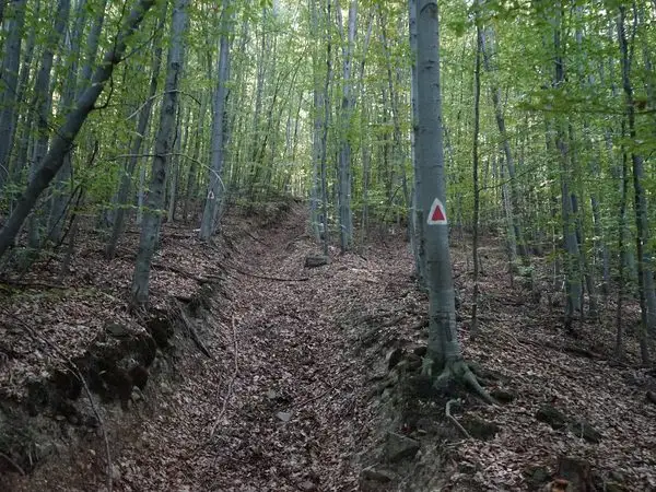 Lisnău-Vale - Ruinele Cetăţii Turcului (Törökvár) - Ruinele Cetăţii Barabás