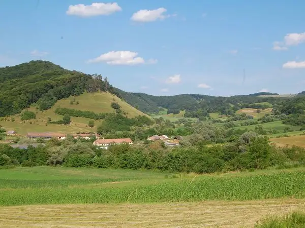Nou Săsesc - Dealul lui Fetea - Copşa Mare - Nou Săsesc
