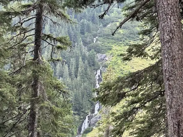 Stâna de Râu – Tăul Țapului – Vf. Păpușa – Șaua Custurii – Stâna de Râu