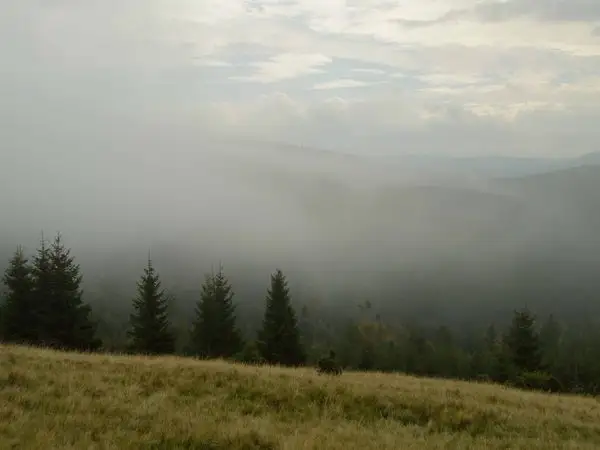 Covasna - Poiana Iacob