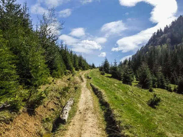 Săcele - Valea Gârcin - Cabana Piatra Mare