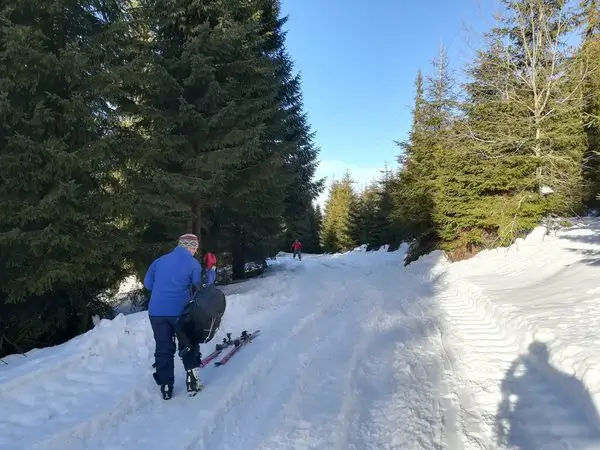 Muntele Baisorii ( La Cruce ) - Gera -  Saua La Plopis - Partia Baisoara - Valea Iertii - La Cruce