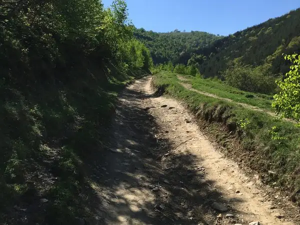 sat Răşinari - Valea Caselor - Şaua Apa Cumpănită