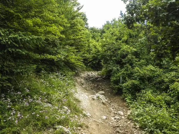Pensiunea Valea Cetăţii - Poiana sub Padină - Peştera Râşnoavei