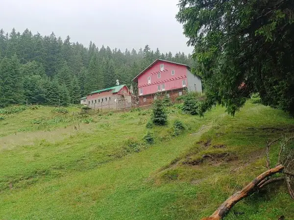 Bușteni - Gura Diham - Poiana Izvoarelor - Cabana Mălăiești - Glăjărie - Diham - Predeal