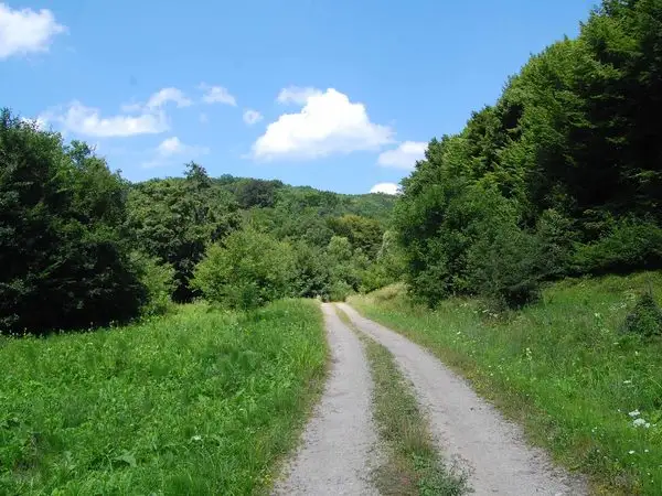 Agnita - Valea Lacul Sec - Agnita