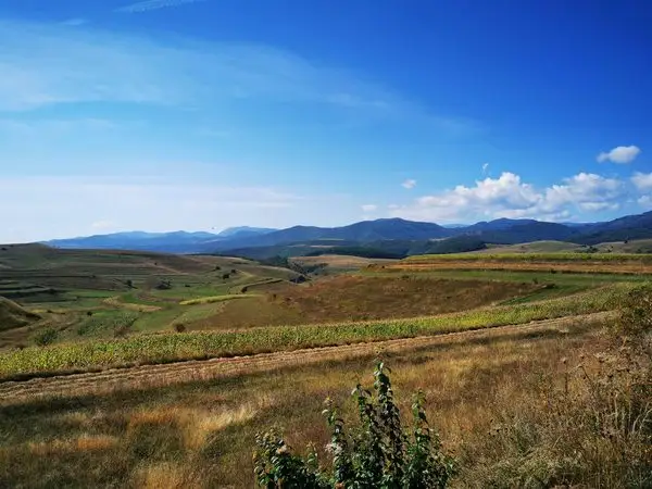 Lacul de Acumulare Filea - Cheile Borzeşti - Buru - Lacul de Acumulare Filea