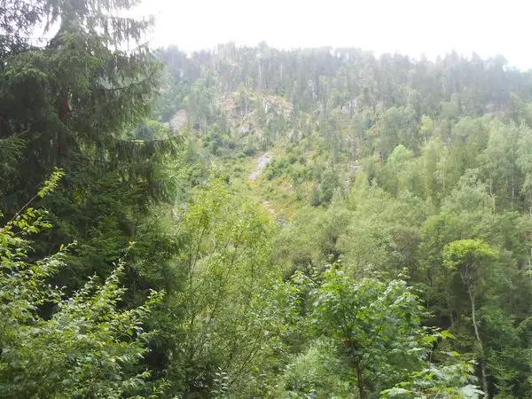 Maguri-Racatau - Bulitani - Vf. Chicera lui Matei - Vidrenii de Jos - Maguri-Racatau