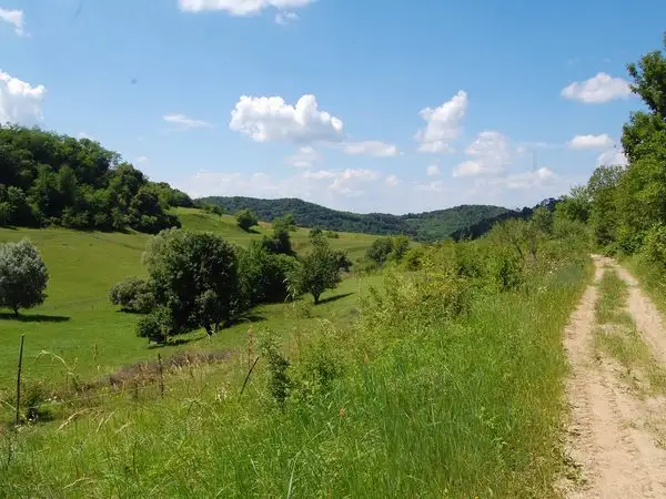Nou Săsesc - Dealul lui Fetea - Copşa Mare - Nou Săsesc