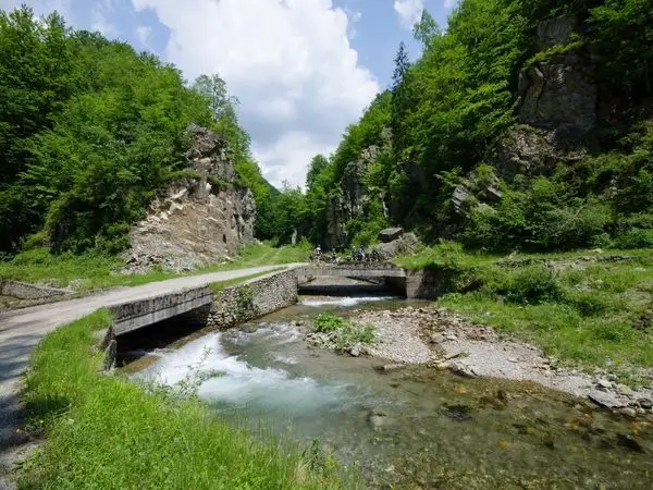 MTB la Izvoarele Cernei și Lacul Valea lui Iovan