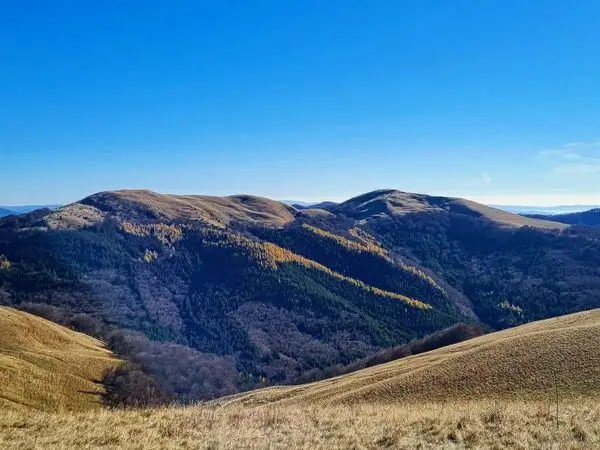 Măneciu Pământeni – Radila