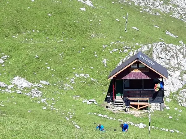 Moeciu de Sus - Vf. Bucsa - Saua Bucsa - Saua Strungulita -Moeciu de Sus