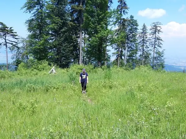 Poiana Brasov - Vf. Postavaru - Poiana Brasov