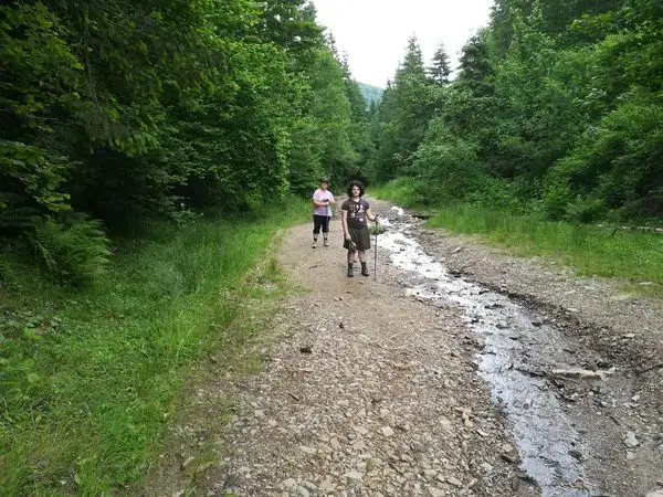 Muntele Baisorii ( La Cruce ) - Gera -  Saua La Plopis - Partia Baisoara - Valea Iertii - La Cruce