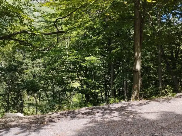 Cheile Prisacinei, Masivul Cernei-Mehedinti, Parcul National Domogled - Valea Cernei