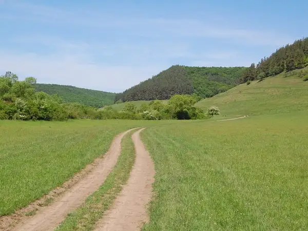 Daia - Dealul Nucului - Valea Lungă - Daia