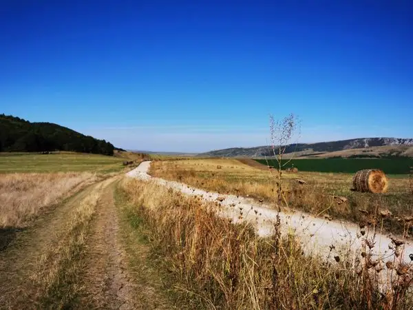 Lacul de Acumulare Filea - Cheile Borzeşti - Buru - Lacul de Acumulare Filea