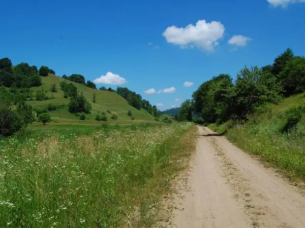Criş - Pădurea Heţeu - Dealul Făgetului - Criş