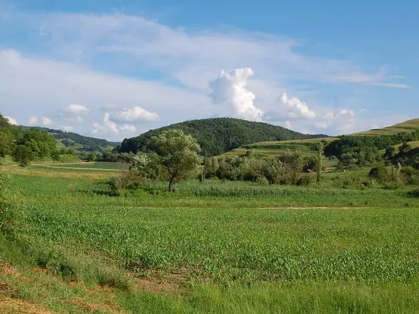 Laslea - Dealul Făgetului - Criş - Laslea