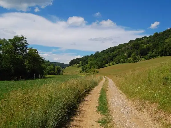 Laslea - Dealul Făgetului - Criş - Laslea