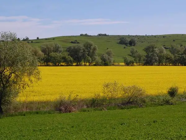 Brădeni - Seliştat - Noiştat - Brădeni