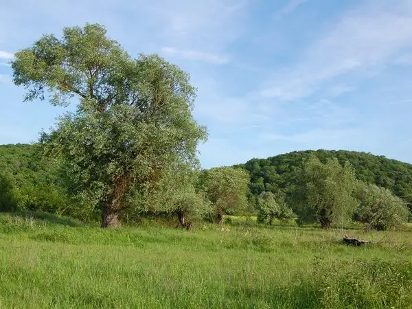 Sibiu - Nucet - Bradu - Caşolţ - Sibiu