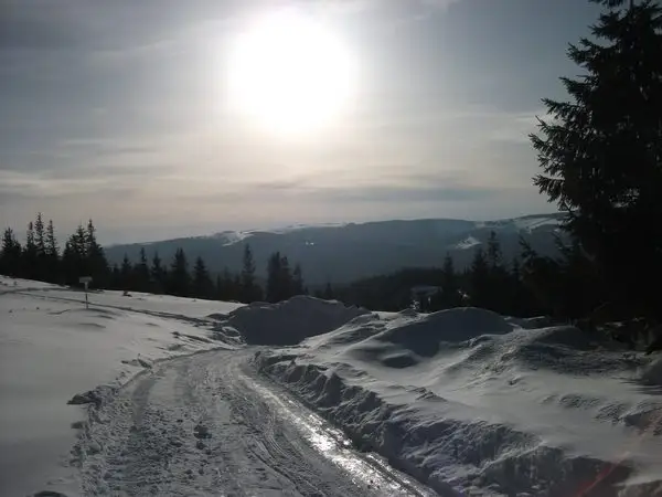 Statiunea Muntele Baisorii - Valea Vadului - Vf. Buscat - Saua La Plopis - Partia Baisoara