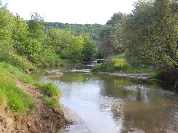 Sibiu - Nucet - Bradu - Caşolţ - Sibiu