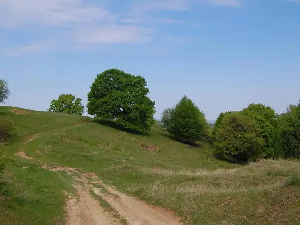 Comăna de Jos -  Dăişoara - Ticuşu Vechi - Comăna de Jos