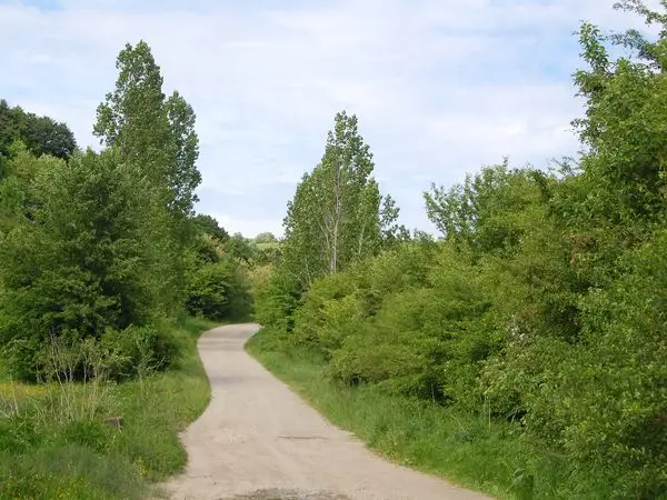 Sibiu - Nucet - Bradu - Caşolţ - Sibiu