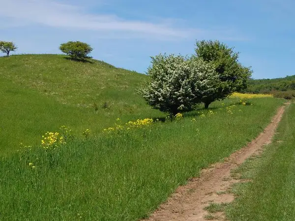 Brădeni - Seliştat - Noiştat - Brădeni