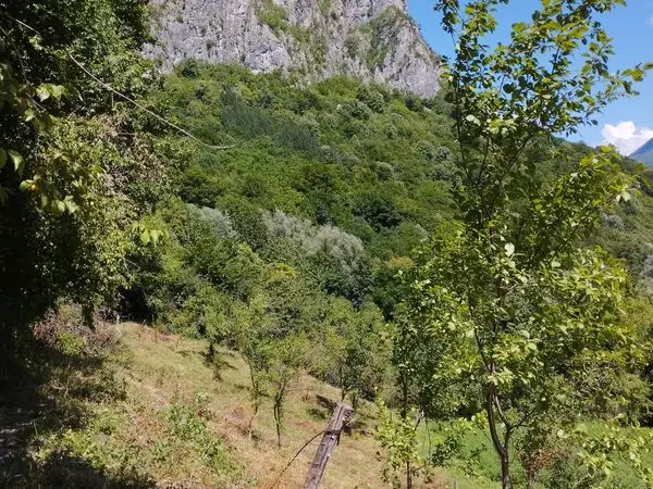 Cheile Prisacinei, Masivul Cernei-Mehedinti, Parcul National Domogled - Valea Cernei