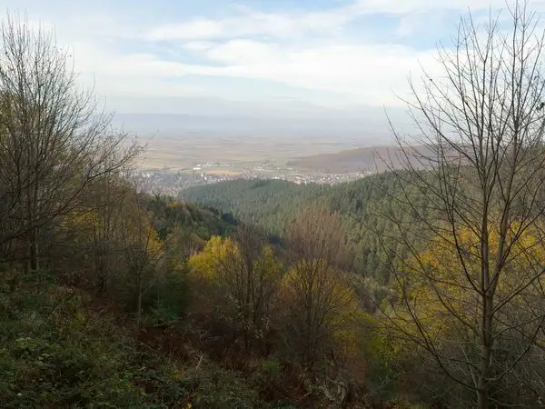 Covasna (Hotel Montana) - Poiana lui Cocorea