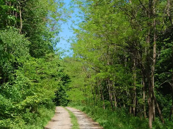 Daia - Dealul Nucului - Valea Lungă - Daia