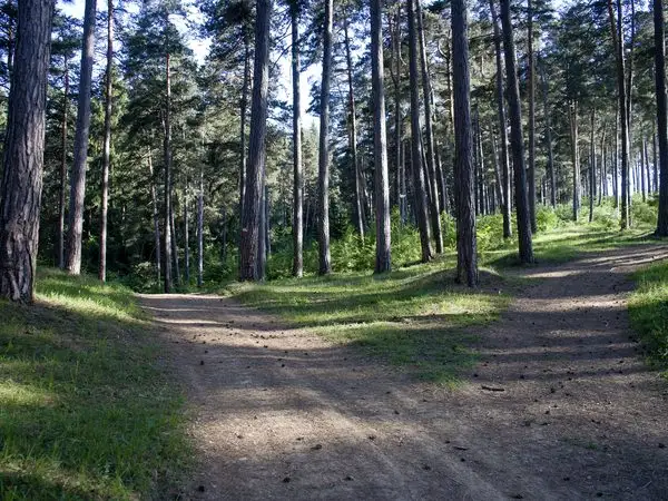 Purcăreni - Rezervaţia paleontologică Locul Fosilifer Purcăreni