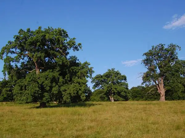 Sighişoara - Apold - Vulcan - Sighişoara