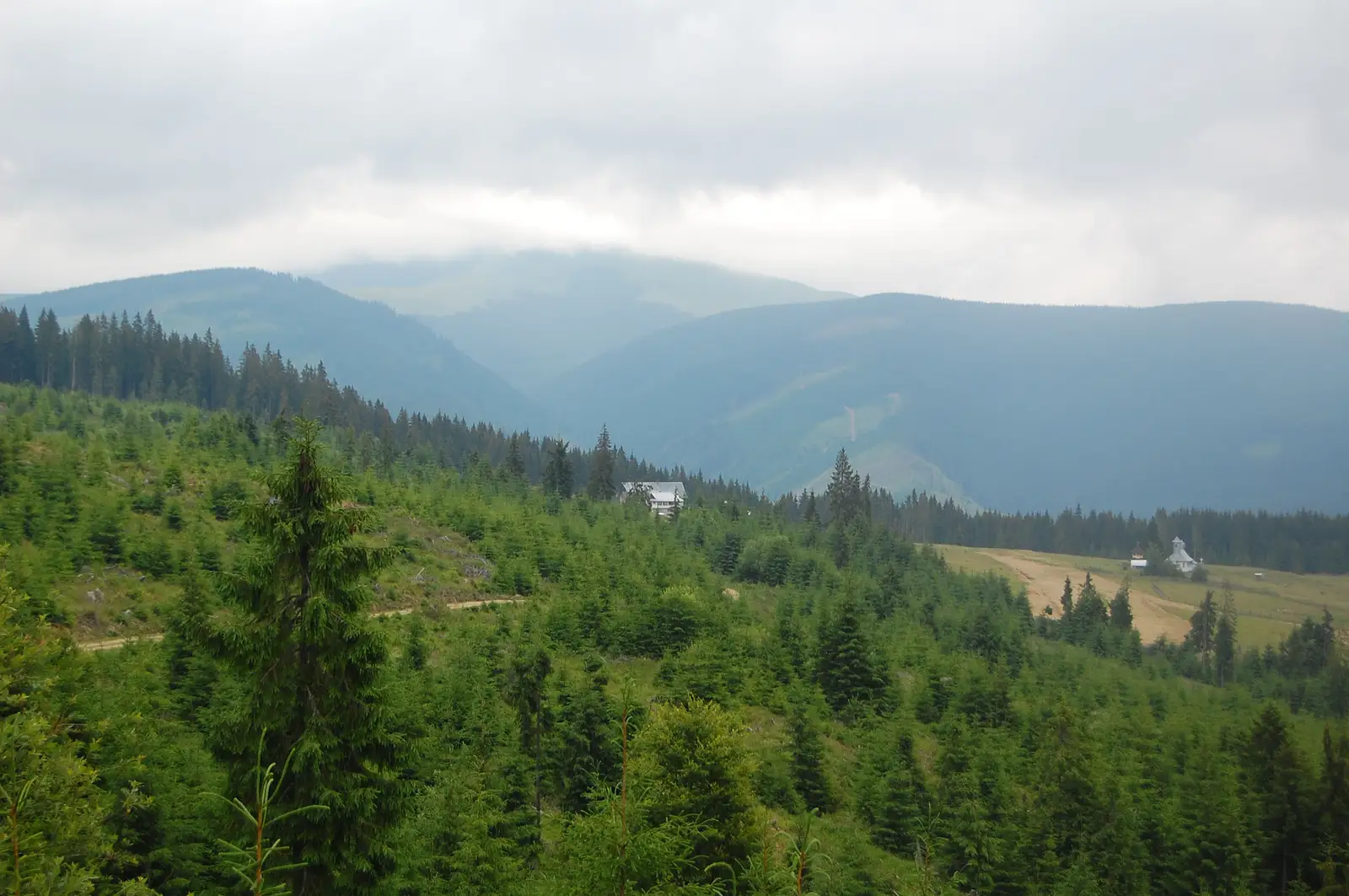 Vatra Dornei - Cabana Gigi Ursu - traseul 3 BR