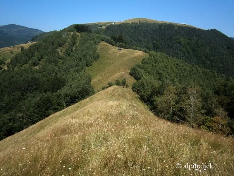 Circuit Dealul Runcuri, Cabana Fântânele, Vf. Curmătura, Piscul Vulturului